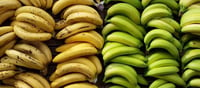 How many bananas do people eat in a year?